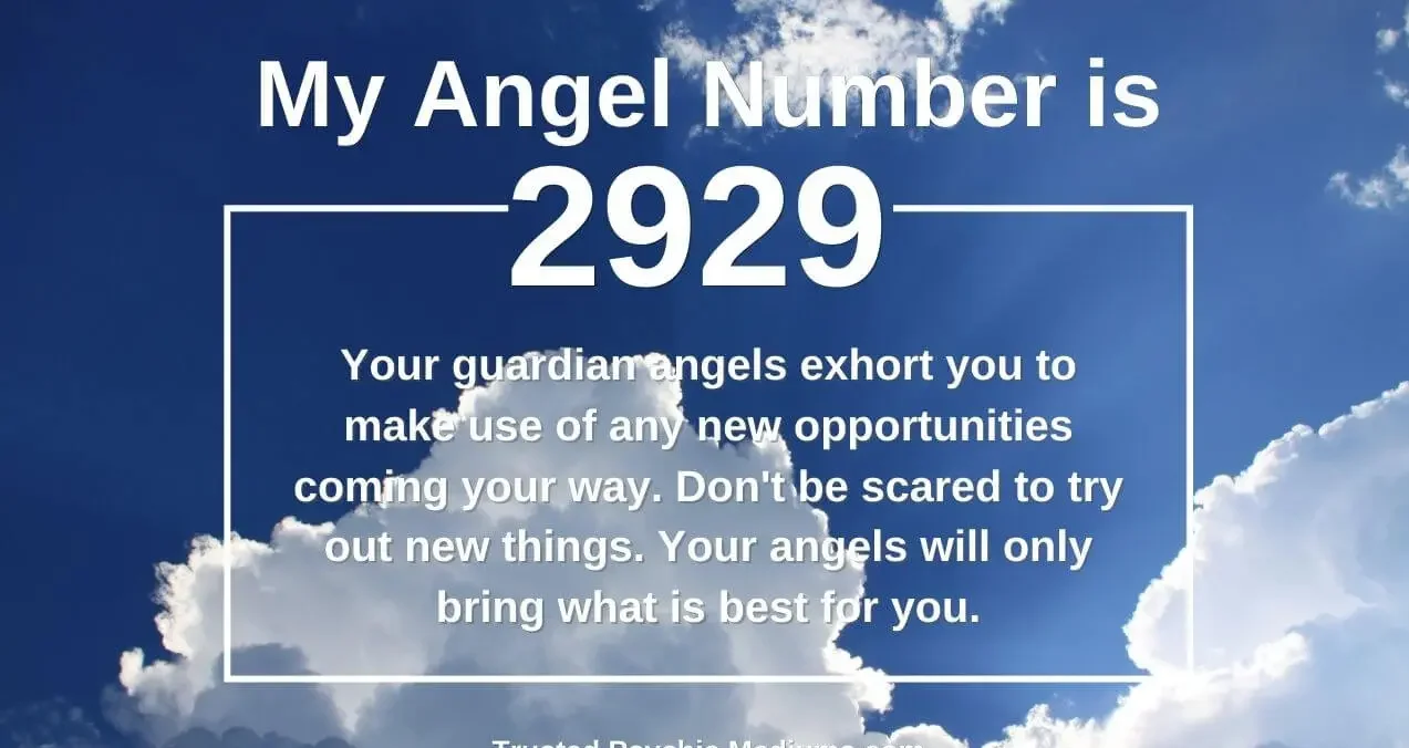 2929 angel number