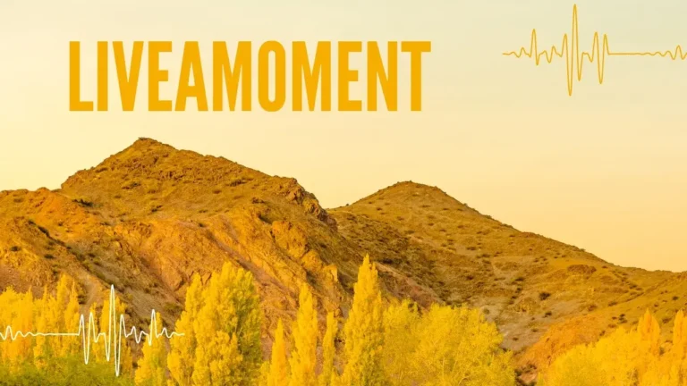 /liveamoment.org