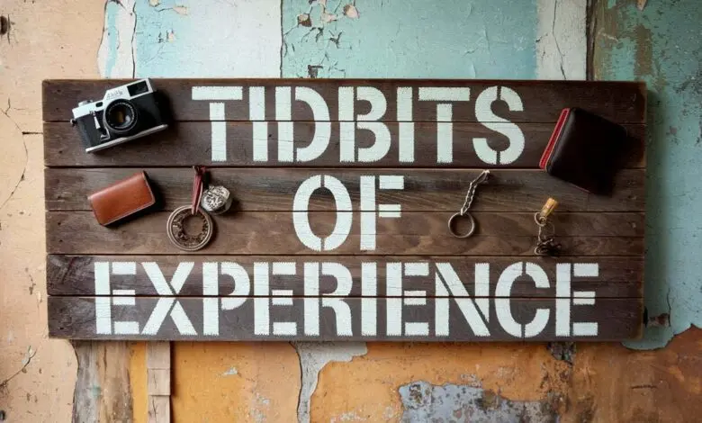 tidbits of experience